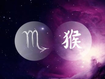 Scorpio Monkey
