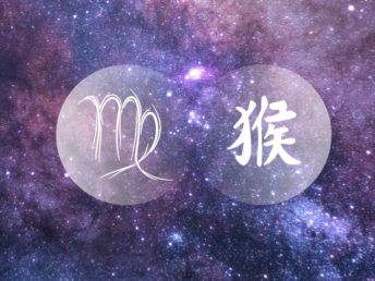 Virgo Monkey