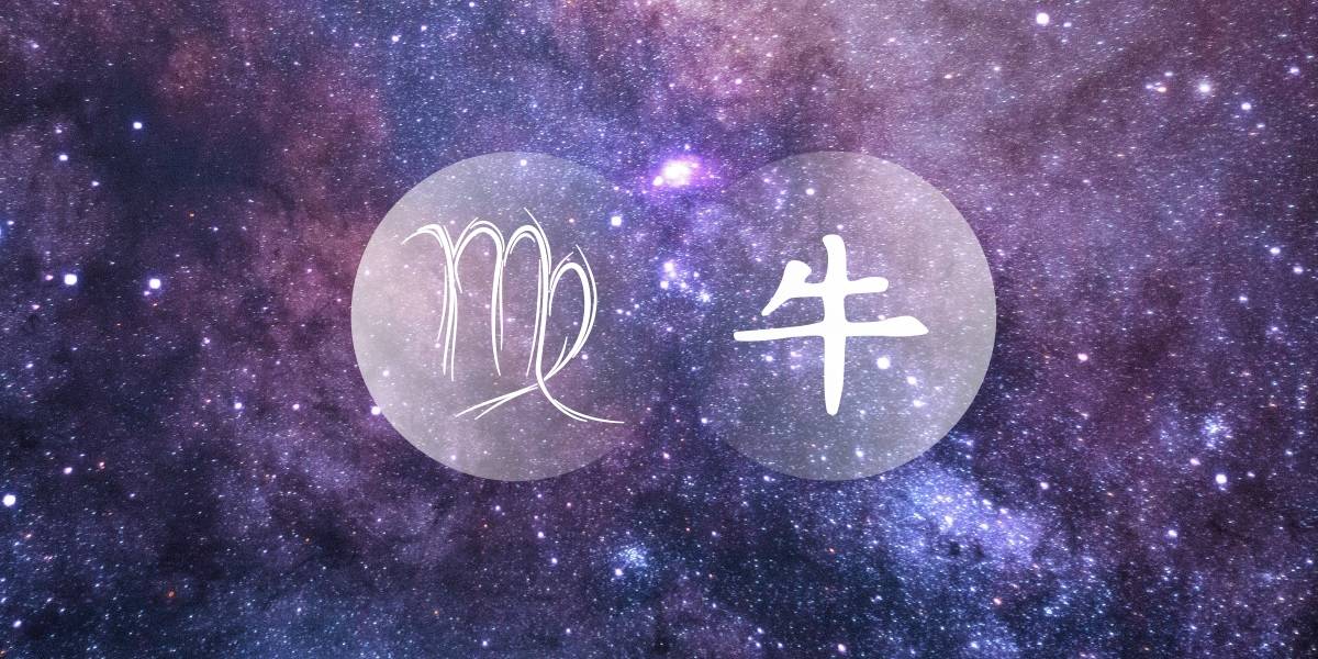 Virgo Ox